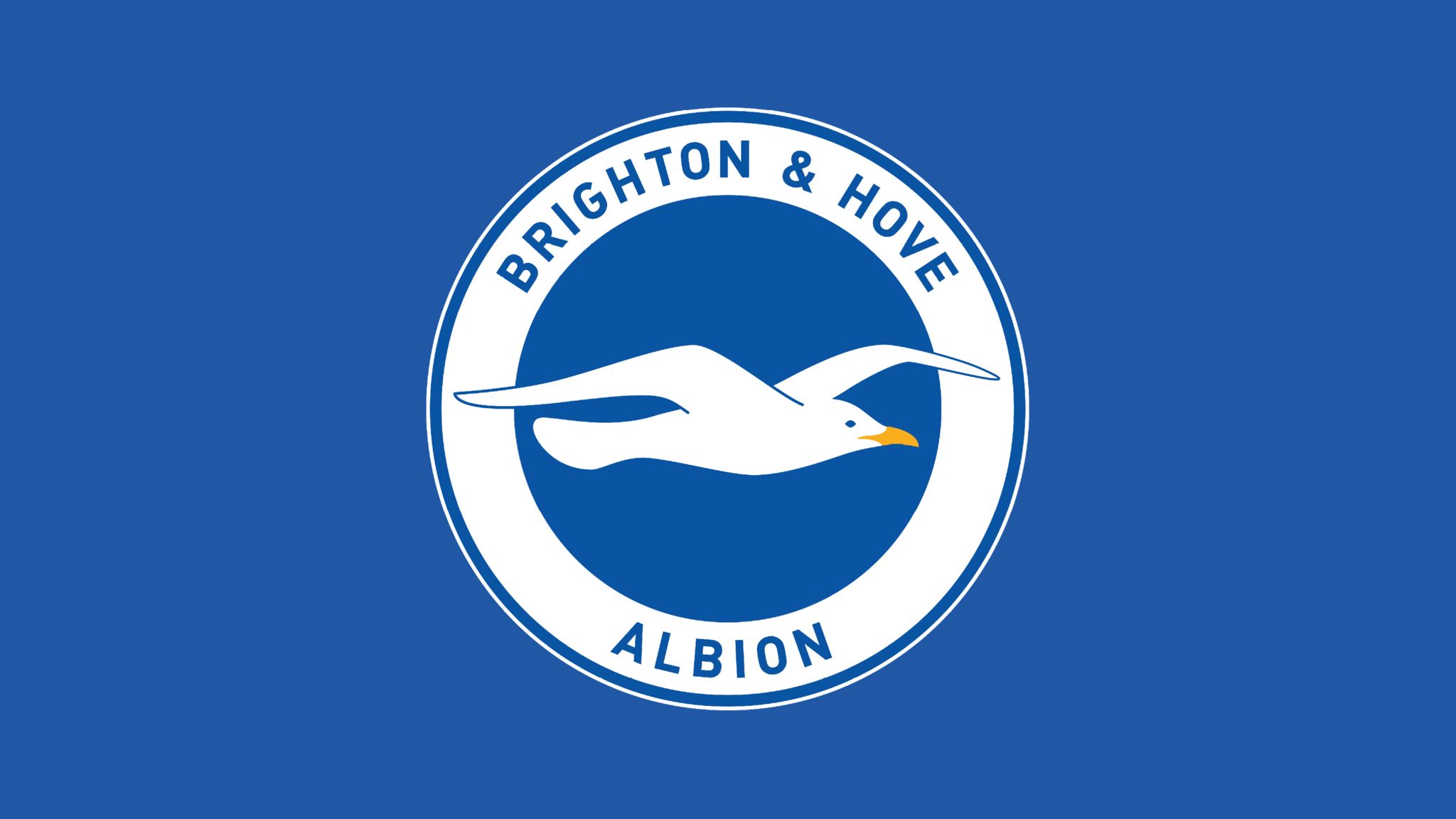 Brighton en Hürzeler